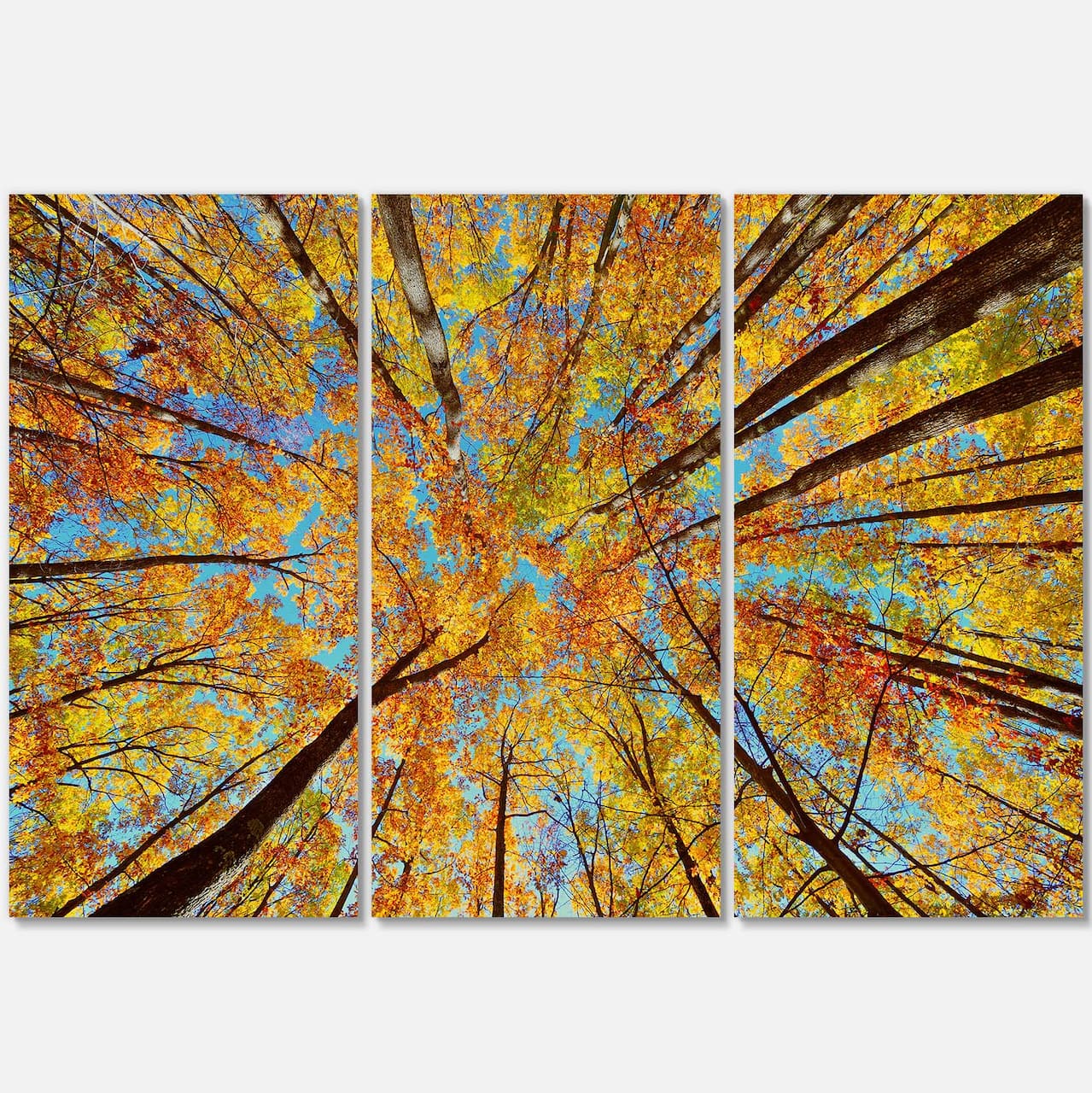 Designart - Tree Tops in Autumn Forest - Forest Canvas Art Print
